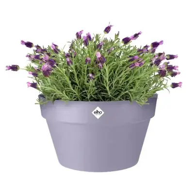 Elho Schaal Loft Urban 35cm Lavendel Lila - afbeelding 2