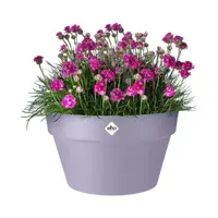 Elho Schaal Loft Urban 35cm Lavendel Lila - afbeelding 3