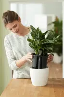 Elho Self-watering Insert Waterreservoir 17 cm living black - afbeelding 7