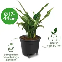 Elho Self-watering Insert Waterreservoir 17 cm living black - afbeelding 10