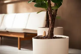 Elho Smart pebble plantverzorging bruin - afbeelding 13