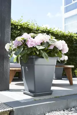 Elho universele plantenschotel vierkant 25 cm antraciet - afbeelding 4