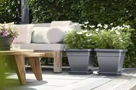 Elho universele plantenschotel vierkant 25 cm antraciet - afbeelding 5