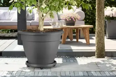 Elho universele planttaxi 40 cm antraciet - afbeelding 4