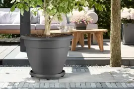 Elho universele planttaxi 40 cm antraciet - afbeelding 4
