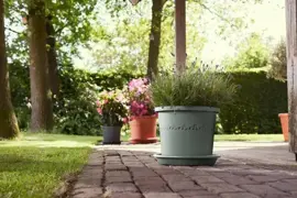 Elho universele schotel rond 25cm tijmgroen - afbeelding 4
