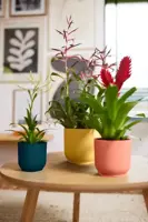Elho Vibes Fold bloempot 14 cm delicate roze - afbeelding 10