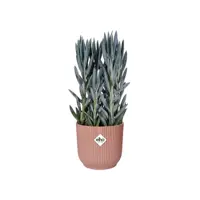 Elho Vibes Fold bloempot 14 cm delicate roze - afbeelding 6
