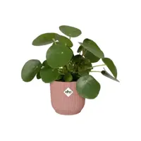 Elho Vibes Fold bloempot 14 cm delicate roze - afbeelding 7
