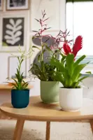 Elho Vibes Fold bloempot 14 cm zijdewit - afbeelding 9