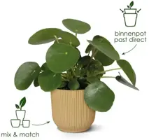 Elho Vibes Fold bloempot 14 cm zijdewit - afbeelding 11