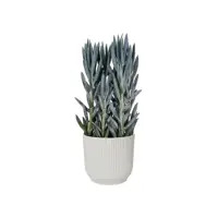 Elho Vibes Fold bloempot 14 cm zijdewit - afbeelding 6
