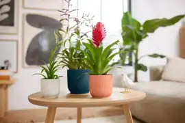 Elho vibes fold bloempot mini 11 cm Zijdewit - afbeelding 8