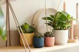 Elho vibes fold bloempot mini 11 cm Zijdewit - afbeelding 9