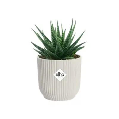 Elho vibes fold bloempot mini 11 cm Zijdewit - afbeelding 3