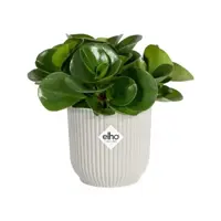 Elho vibes fold bloempot mini 11 cm Zijdewit - afbeelding 4