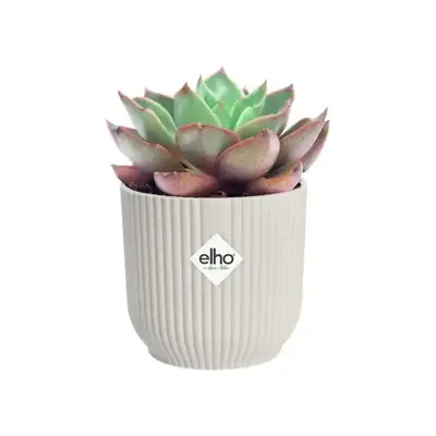Elho vibes fold bloempot mini 11 cm Zijdewit - afbeelding 5