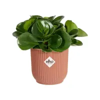 Elho vibes fold bloempot mini 7 cm delicaat roze - afbeelding 4