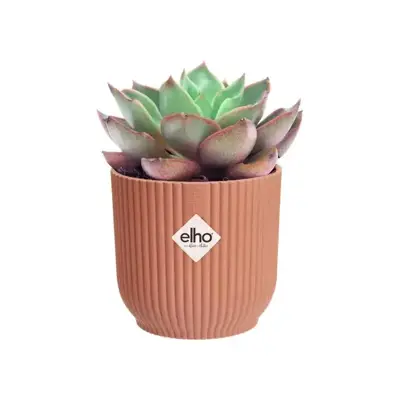 Elho vibes fold bloempot mini 7 cm delicaat roze - afbeelding 5
