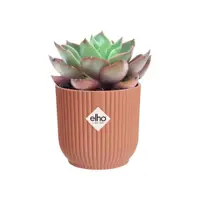Elho vibes fold bloempot mini 7 cm delicaat roze - afbeelding 5