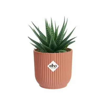 Elho vibes fold bloempot mini 7 cm delicaat roze - afbeelding 6