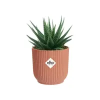 Elho vibes fold bloempot mini 7 cm delicaat roze - afbeelding 6