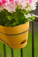 Elho Vibia Campana balkonbak 50 cm honing geel - afbeelding 7