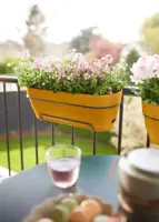 Elho Vibia Campana balkonbak 50 cm honing geel - afbeelding 8