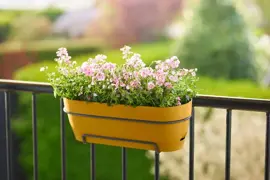 Elho Vibia Campana balkonbak 50 cm honing geel - afbeelding 9