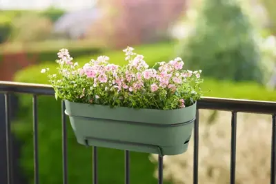 Elho Vibia Campana balkonbak 50 cm pistache groen - afbeelding 7