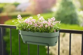 Elho Vibia Campana balkonbak 50 cm pistache groen - afbeelding 7