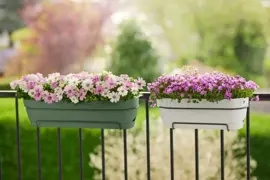 Elho Vibia Campana balkonbak 50 cm pistache groen - afbeelding 10