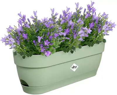 Elho Vibia Campana balkonbak 50 cm pistache groen - afbeelding 3