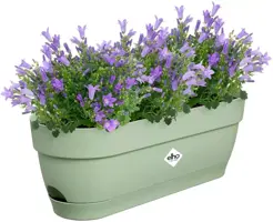 Elho Vibia Campana balkonbak 50 cm pistache groen - afbeelding 3