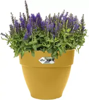 Elho Vibia Campana bloempot rond 20 cm honinggeel - afbeelding 2