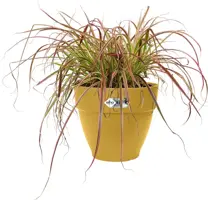 Elho Vibia Campana bloempot rond 20 cm honinggeel - afbeelding 3