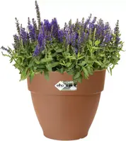 Elho Vibia Campana bloempot rond 20 cm terra - afbeelding 2