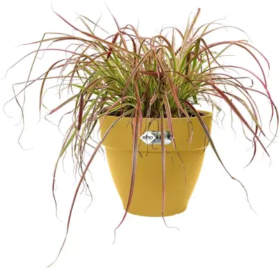 Elho Vibia Campana bloempot rond 30 cm honinggeel - afbeelding 3