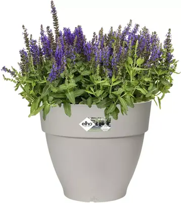 Elho Vibia Campana bloempot rond 30 cm zijdewit - afbeelding 2