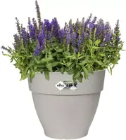 Elho Vibia Campana bloempot rond 30 cm zijdewit - afbeelding 2
