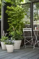 Elho vibia campana bloempot rond 47 cm Zijdewit - afbeelding 3