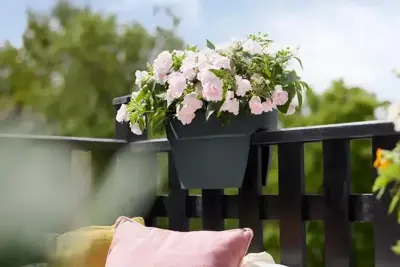 Elho Vibia Campana flower bridge 40 cm antraciet - afbeelding 9