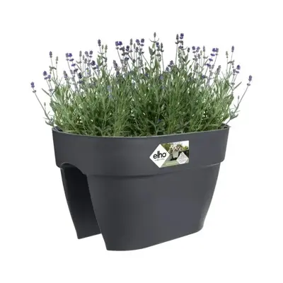 Elho Vibia Campana flower bridge 40 cm antraciet - afbeelding 5