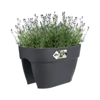 Elho Vibia Campana flower bridge 40 cm antraciet - afbeelding 5