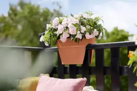 Elho Vibia Campana flower bridge 40cm terra - afbeelding 7