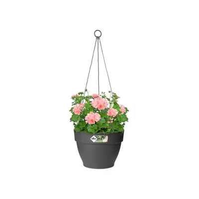 Elho Vibia Campana hangschaal 26 cm antraciet - afbeelding 4