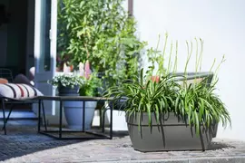 Elho Vibia Campana terrace plantenbak 80 cm antraciet - afbeelding 5