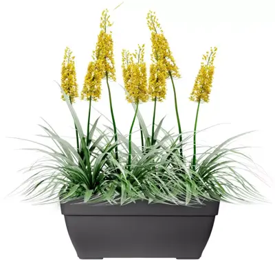 Elho Vibia Campana terrace plantenbak 80 cm antraciet - afbeelding 4