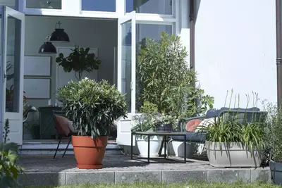 Elho Vibia Campana terrace plantenbak 80 cm living concrete - afbeelding 4