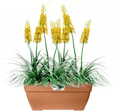 Elho Vibia Campana terrace plantenbak 80 cm terra - afbeelding 2